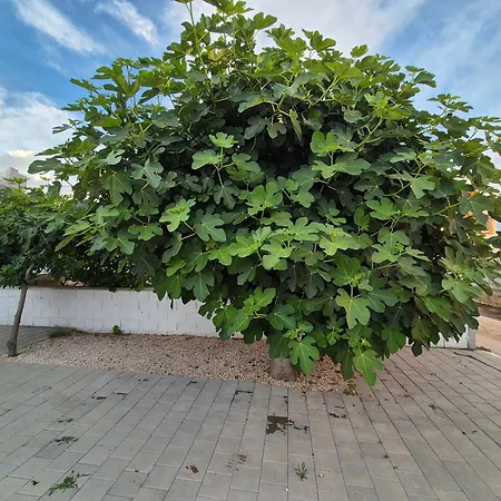 Hana & Sara Apartment