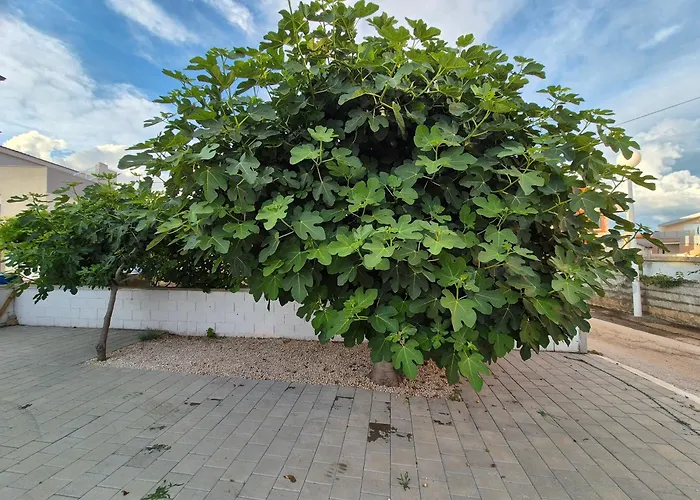 Hana & Sara Апартаменты